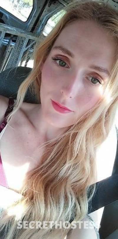 Alex 27Yrs Old Escort Sarasota FL Image - 1