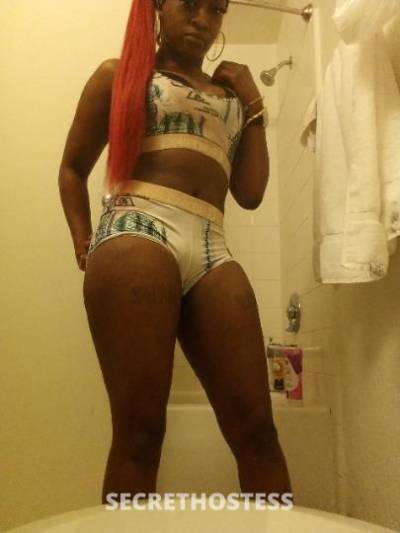 28Yrs Old Escort Size 6 149CM Tall Fort Lauderdale FL Image - 3
