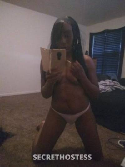 28Yrs Old Escort Denver CO Image - 0