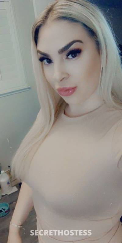 Crystal 25Yrs Old Escort 160CM Tall San Ramon CA Image - 1