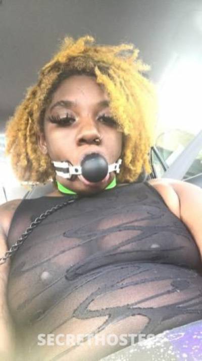 28 year old Escort in Madison WI A Hunters Dream CUM GET WARM VIBES NEW TO WISCONSIN