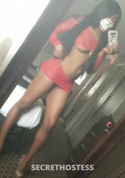 28Yrs Old Escort San Antonio TX Image - 3