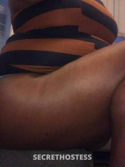 Lily 26Yrs Old Escort San Antonio TX Image - 1