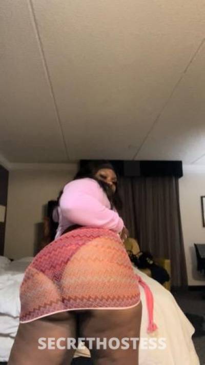 19 Year Old Caribbean Escort Houston TX - Image 2