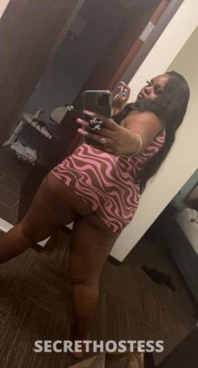 19 Year Old Caribbean Escort Houston TX - Image 3