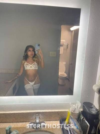 20Yrs Old Escort Houston TX Image - 1