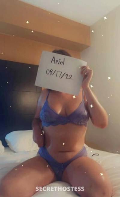 21Yrs Old Escort Size 14 Adelaide Image - 7