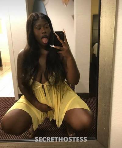 22Yrs Old Escort Houston TX Image - 1