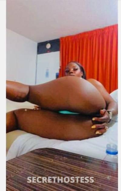 23 year old Escort in Memphis TN Sexy hot girl Availability day and night Curvyy Ass And 
