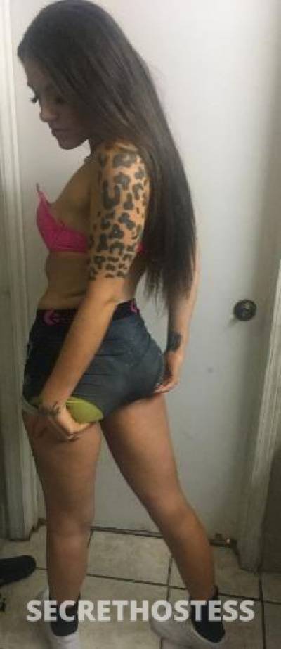 23 year old Mexican Escort in Memphis TN Gentlemen only Mexican Friendly Dont Miss Out Gentlemen