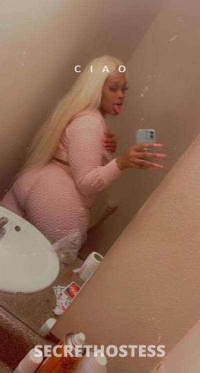 24Yrs Old Escort Dallas TX Image - 1