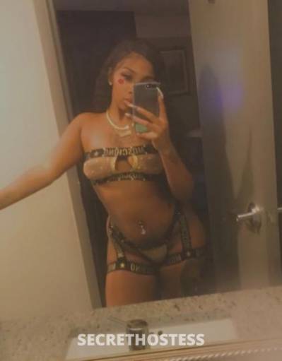 25Yrs Old Escort Corpus Christi TX Image - 1