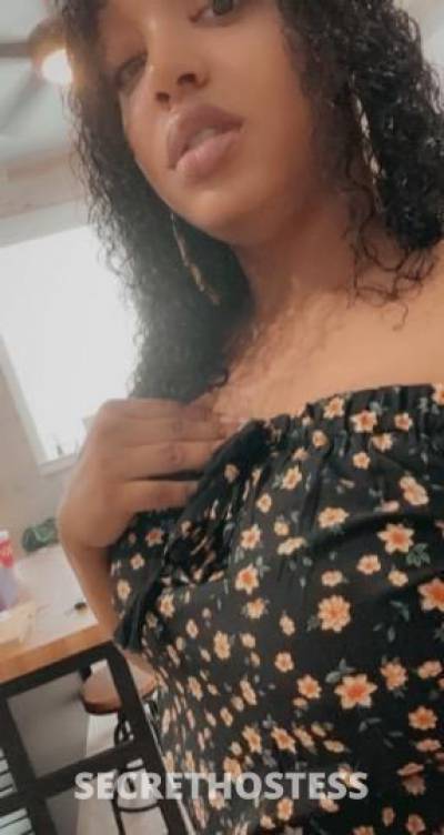 27Yrs Old Escort Houston TX Image - 1