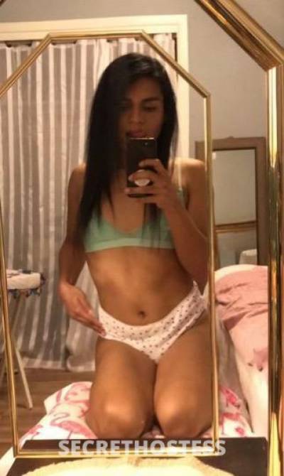 27Yrs Old Escort McAllen TX Image - 0