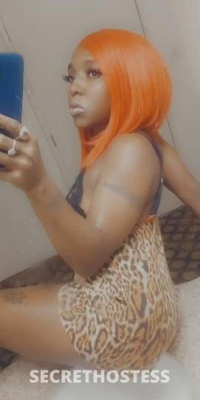 27 year old Escort in Memphis TN available 24 7 call me now qv specials