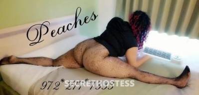 38Yrs Old Escort Dallas TX Image - 3