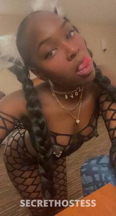 Chanel 27Yrs Old Escort Knoxville TN Image - 0