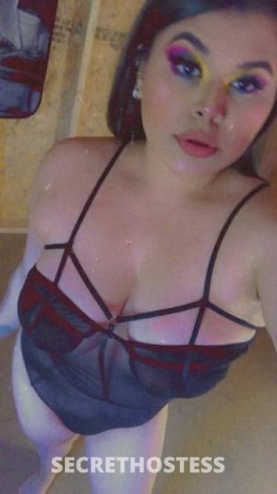 Young Sexy Latina Girl I need regular guys also Incall  in Corpus Christi TX