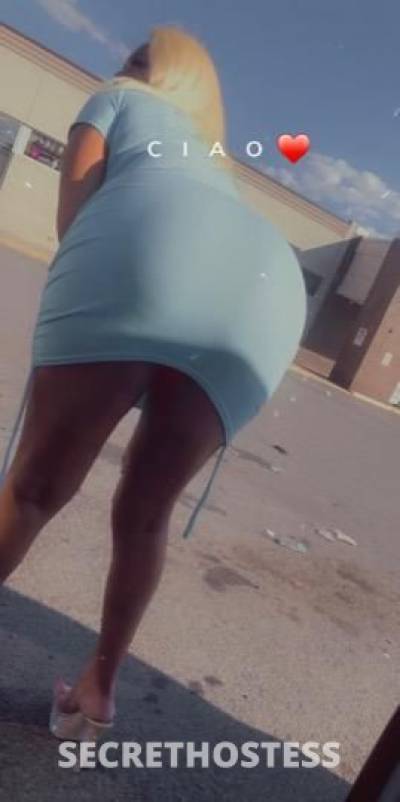 22 year old Caribbean Escort in Scranton PA CASH ONLY dates ONLY NO BBJ