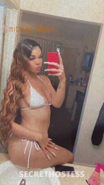 27 year old Escort in Oklahoma City OK 100 Real Pretty Wet Girl Safe 100 Legit Skilled Exotic
