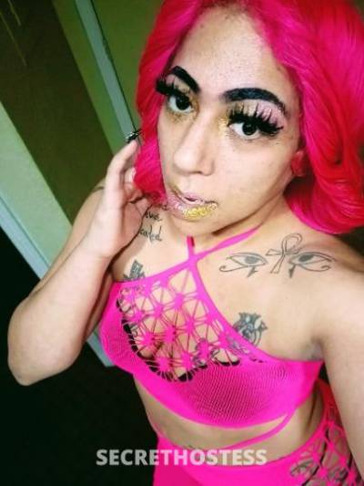 30 year old Latino Escort in Tulsa OK Jessica Rabbit