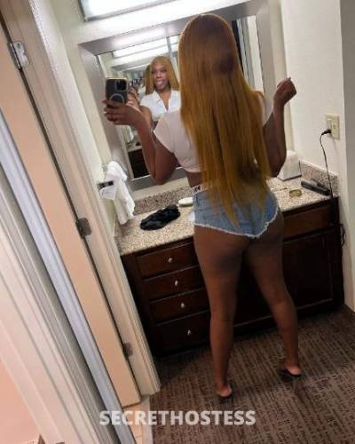 Shaay 21Yrs Old Escort Southern Maryland DC Image - 3