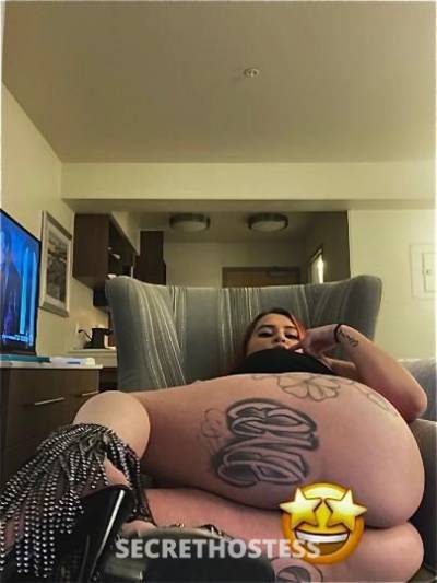 COLLEGE PARK!!! INCALL BBW hottie let me be your new  in Washington DC