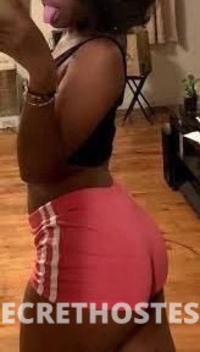 20 year old Escort in Rochester NY lets fuck