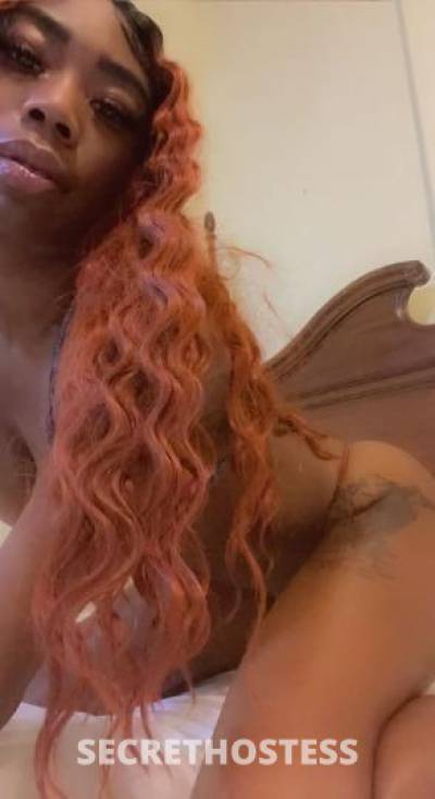 24Yrs Old Escort Dayton OH Image - 1