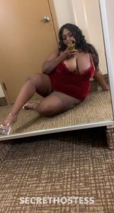 24Yrs Old Escort Toledo OH Image - 2