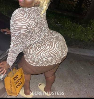 27 year old Escort in Rochester NY sexy chocolate bbw