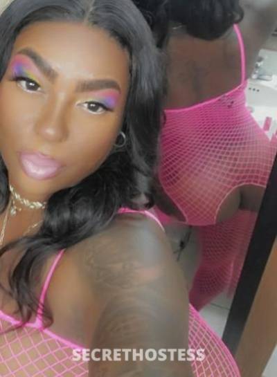 Cupcake 27Yrs Old Escort Toledo OH Image - 0