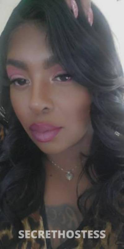 Cupcake 27Yrs Old Escort Toledo OH Image - 1