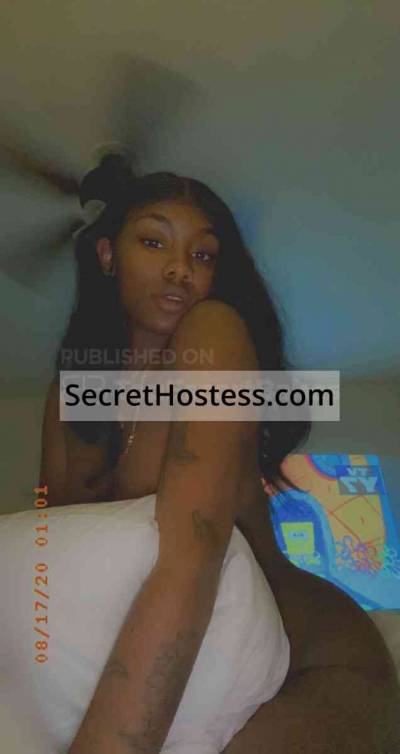 25 year old American Escort in Sebring FL Kitty, Independent