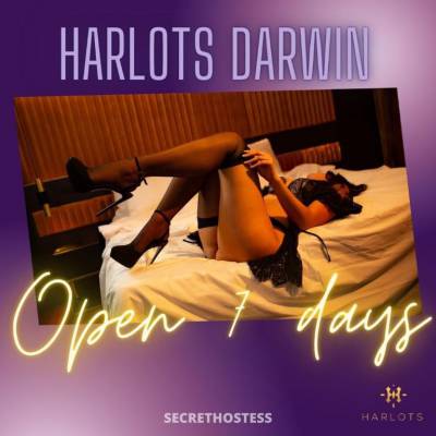 19 year old Australian Escort in Darwin Harlots Darwin - Australian and European Seductress - Book 