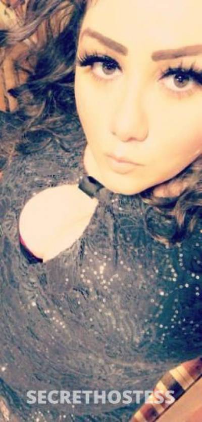 29 year old Hispanic Escort in New York City NY Upscale New Face Sexy BBW NYC and NJ