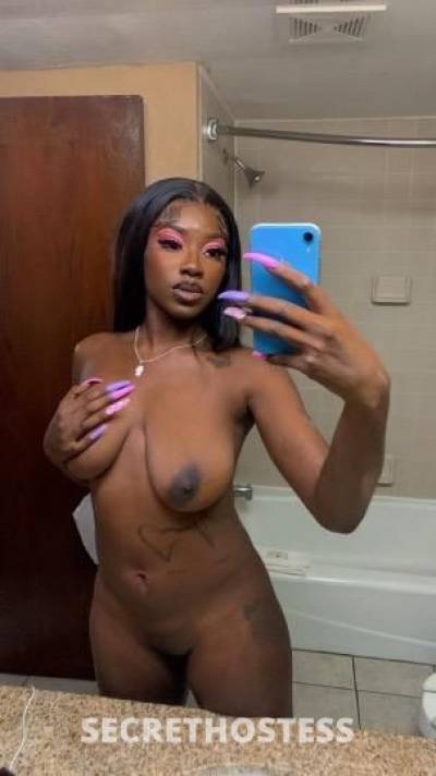 23 year old Escort in Detroit MI Diamond