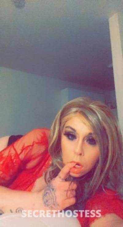 26Yrs Old Escort St. Louis MO Image - 2