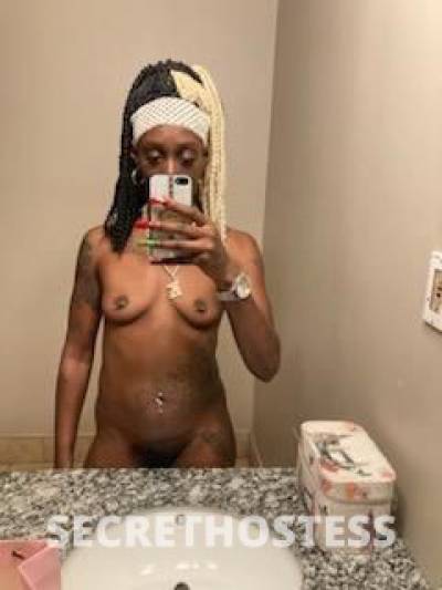 29 year old Escort in Detroit MI Modeling Agency W G P S Services CashMsDetroit