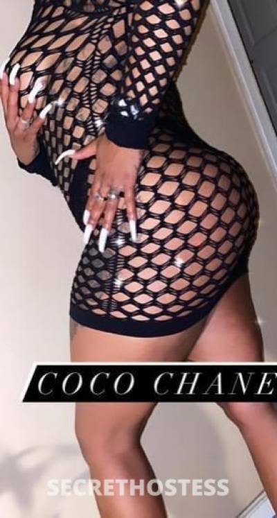 30 year old Escort in Detroit MI Afternoon Specials Sweet Sexy Freaky Girl my wet pussy Big 