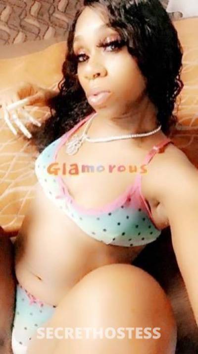 30 year old Escort in Detroit MI Bambi is the ultimate dick swallow and dick taker