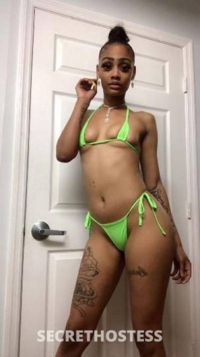 26Yrs Old Escort Shreveport LA Image - 3