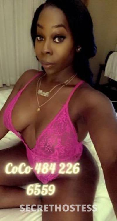 28Yrs Old Escort 177CM Tall New Orleans LA Image - 1