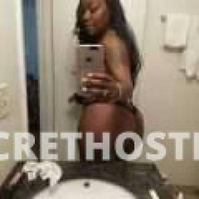 28Yrs Old Escort Shreveport LA Image - 3