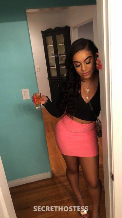 22 Year Old Brazilian Escort Los Angeles CA Brown eyes - Image 3