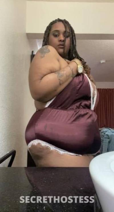24 Year Old Dominican Escort San Diego CA - Image 5