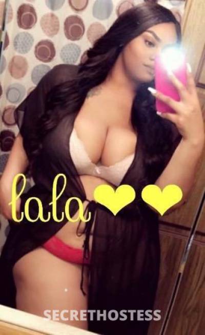 26 Year Old Escort San Jose CA - Image 2