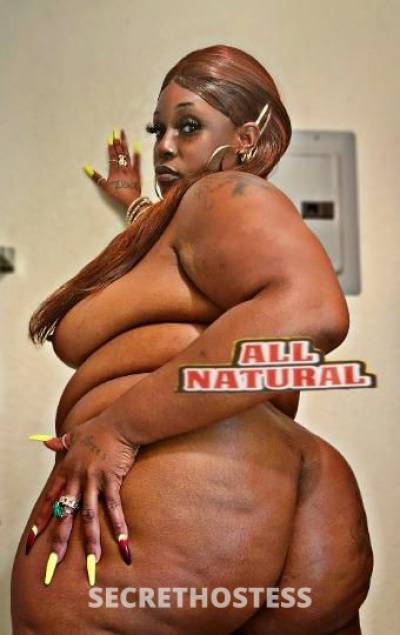 29 year old Escort in San Diego CA T H I C K N E S S &amp; Creamy Outcall ready txt call 
