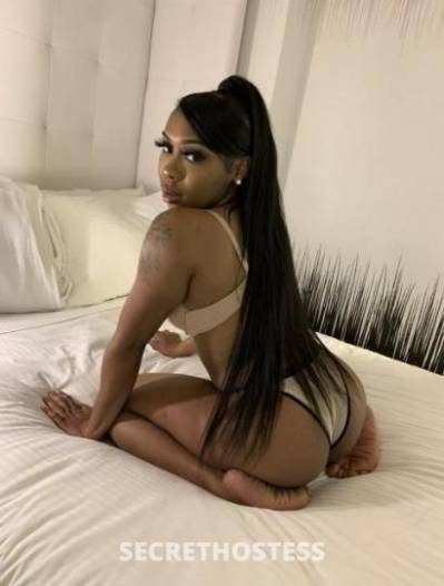 Ebony 21Yrs Old Escort San Fernando Valley CA Image - 2
