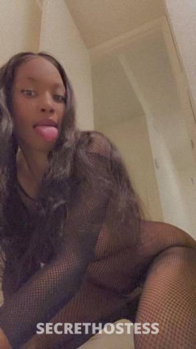 20Yrs Old Escort Los Angeles CA Image - 2